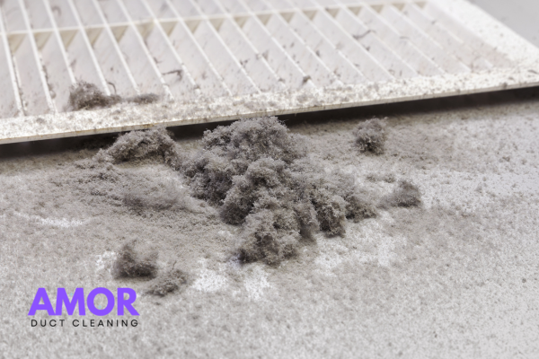 Air Duct and Dryer Vent Cleaning Combo